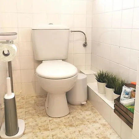 Beautifully Decorated Functional *