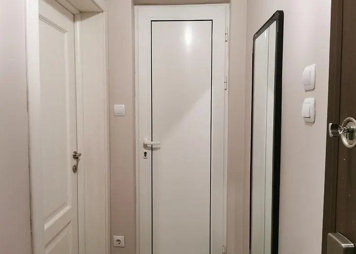 Beautifully Decorated Functional * ソフィア