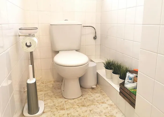 Beautifully Decorated Functional *