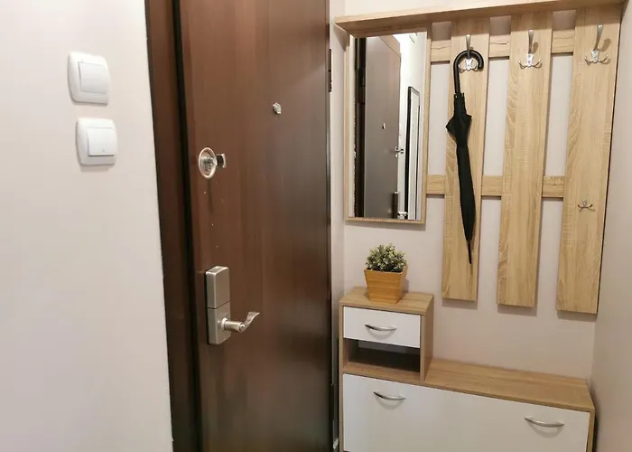 Beautifully Decorated Functional ソフィア